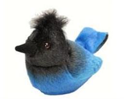 Plush Steller's Jay