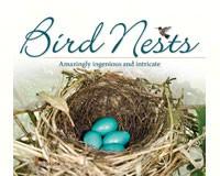 Bird Nests