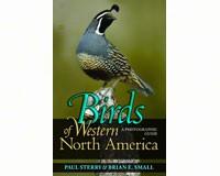 Birds of Western North America by Paul Sterry Brian E Small