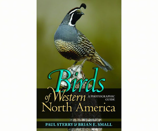 Birds of Western North America by Paul Sterry Brian E Small