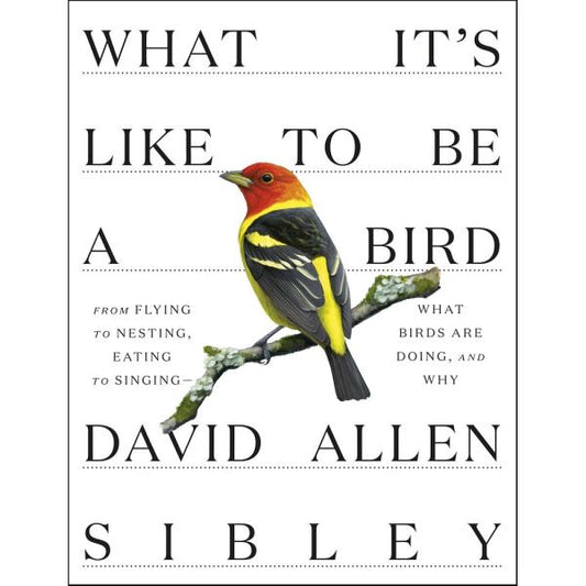 What It's Like To Be a Bird