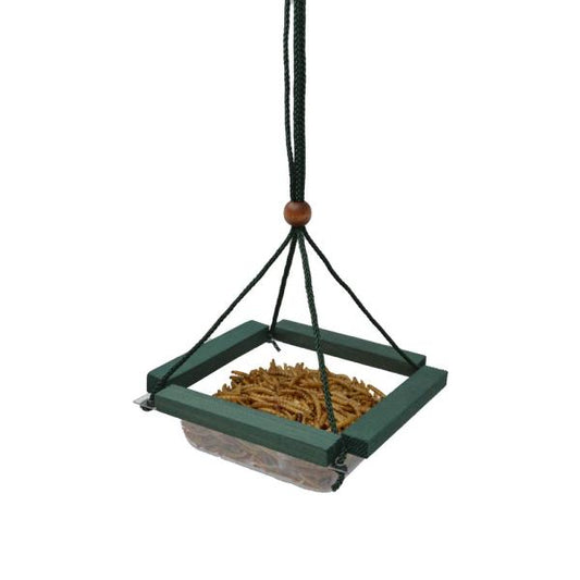 Hanging Mealworm Dish Feeder