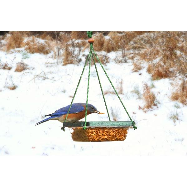 Hanging Mealworm Dish Feeder