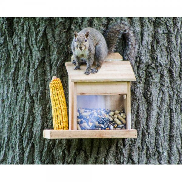 Squirrel Cafe Feeder