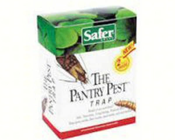 Pantry Pest Trap