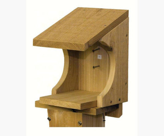 Robin's Nesting Shelf