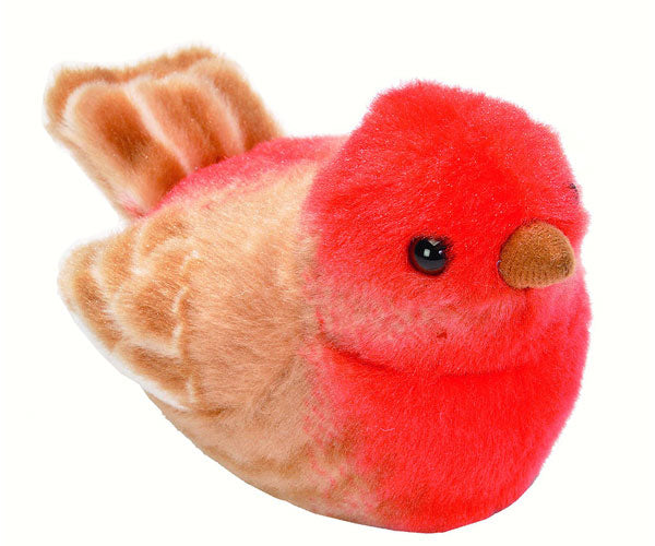 Plush House Finch