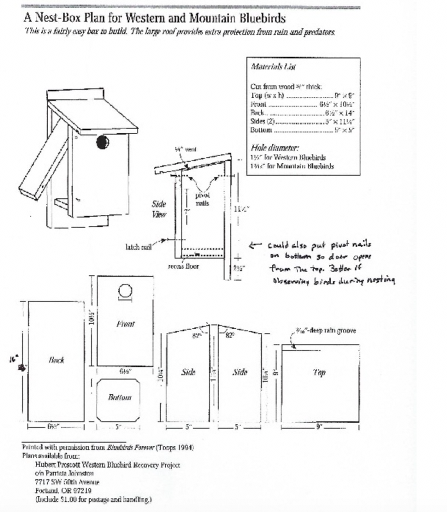 where-to-place-your-bluebird-house-birds-beasleys